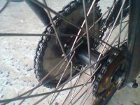 RODA 11.jpg